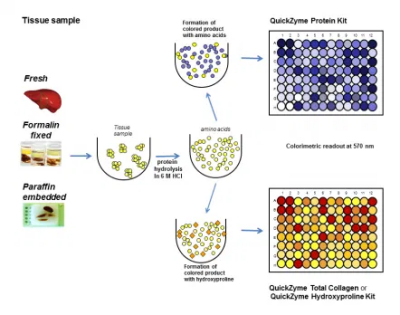 Research Products International Corp