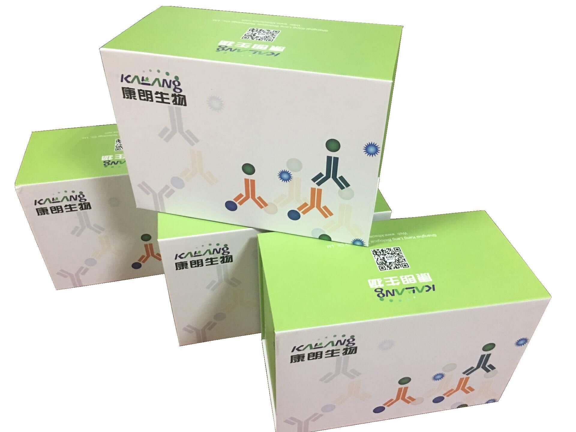Human CLEC4M(C-type lectin domain family 4 member M) ELISA Kit