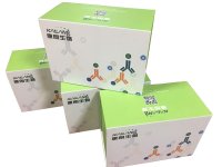 Human CLEC4M(C-type lectin domain family 4 member M) ELISA Kit