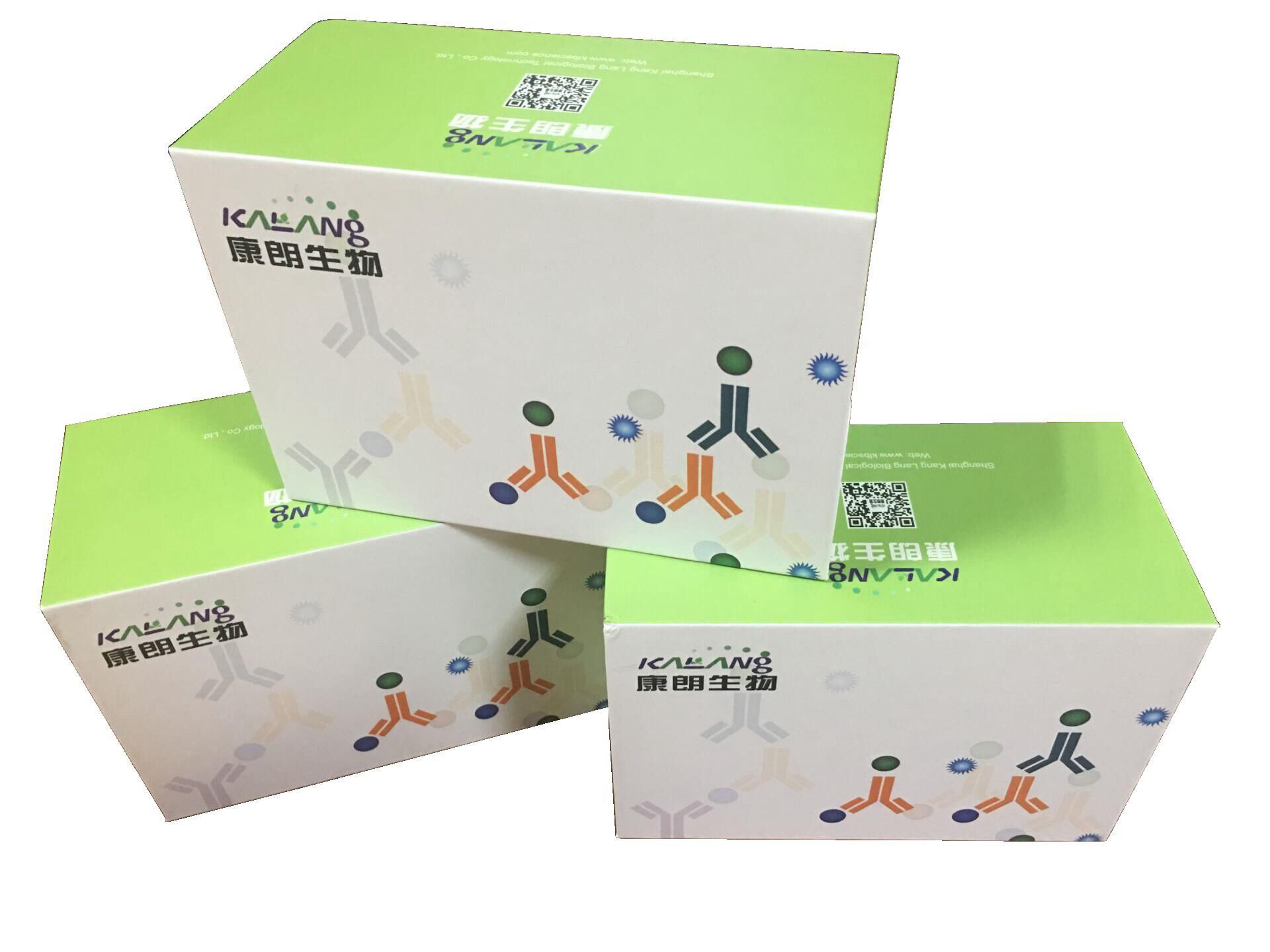Mouse CRP(C-reactive protein) ELISA Kit
