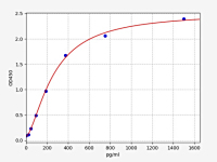 Human P2RY2(P2Y purinoceptor 2) ELISA Kit