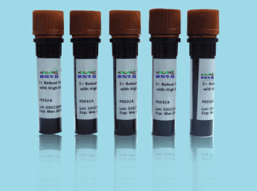 MMP2 mouse Monoclonal Antibody(1H1)