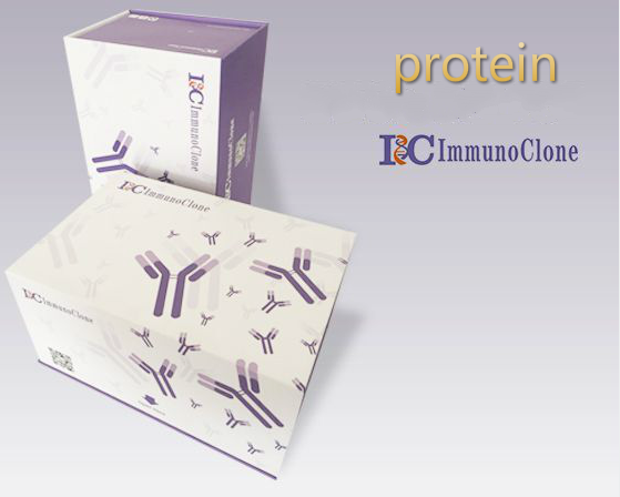 组织因子通道抑制因子2(TFPI2)重组蛋白