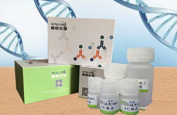 骨组织快速脱钙液Ⅰ